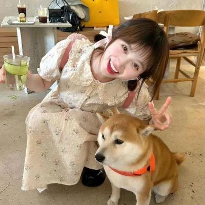 憨姑爷粤语